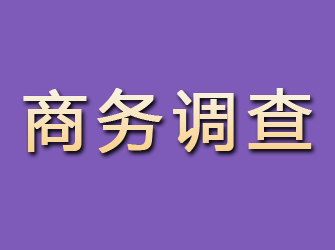 伊犁商务调查